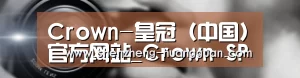 公司动态